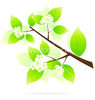 Tree Branch Icon Vector By Fluttershy Image